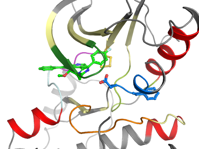 The orthosteric binding pocket