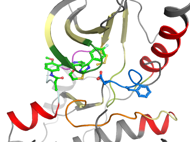 The orthosteric binding pocket
