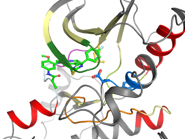 The orthosteric binding pocket