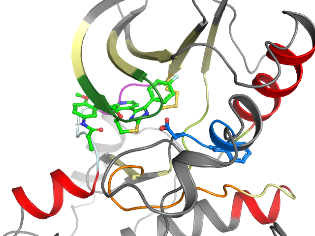 The orthosteric binding pocket