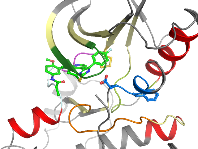 The orthosteric binding pocket