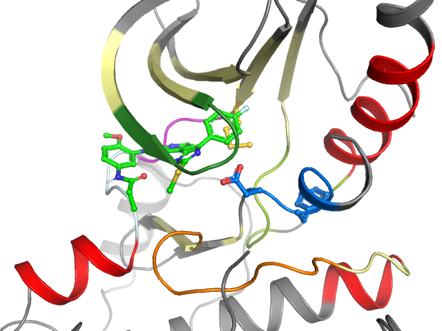 The orthosteric binding pocket