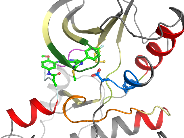 The orthosteric binding pocket