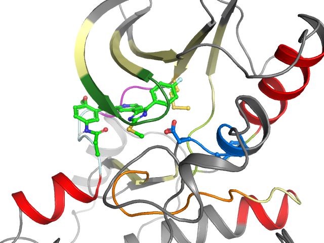 The orthosteric binding pocket