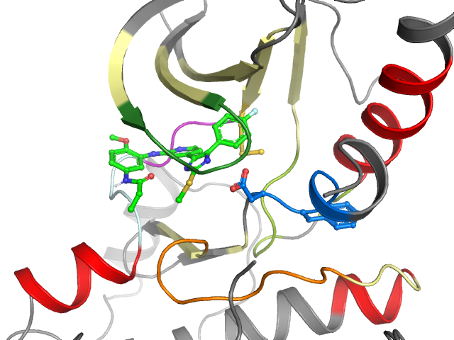 The orthosteric binding pocket
