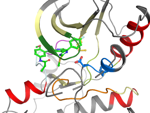 The orthosteric binding pocket