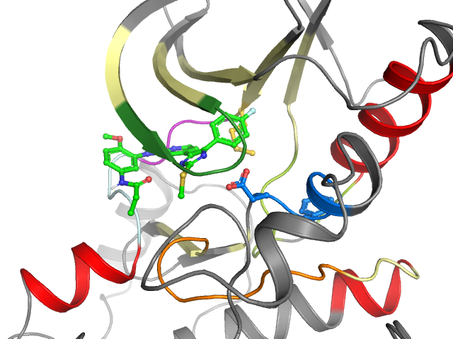 The orthosteric binding pocket