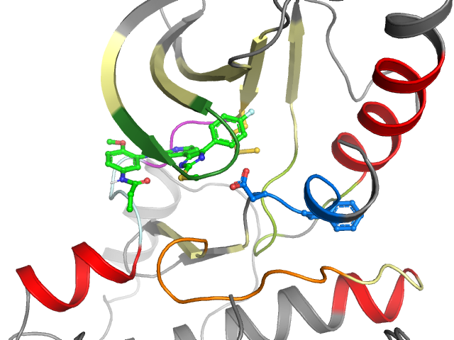 The orthosteric binding pocket