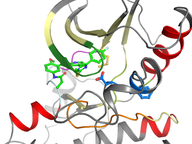 The orthosteric binding pocket