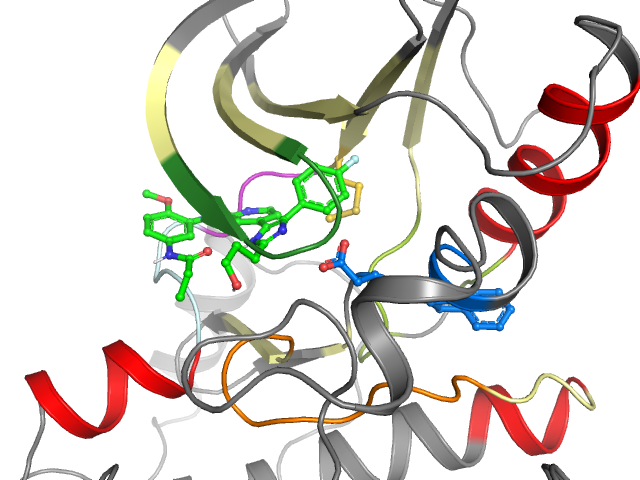 The orthosteric binding pocket