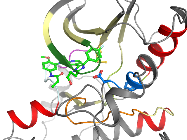 The orthosteric binding pocket