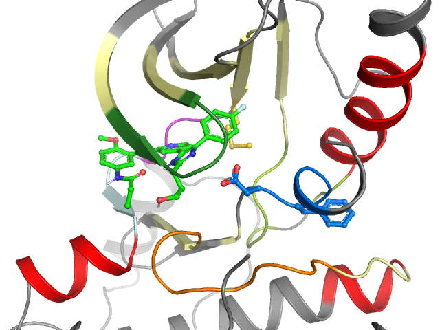 The orthosteric binding pocket