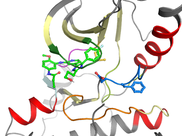 The orthosteric binding pocket