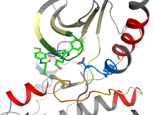 The orthosteric binding pocket
