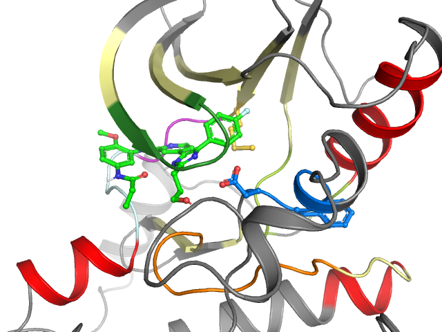 The orthosteric binding pocket