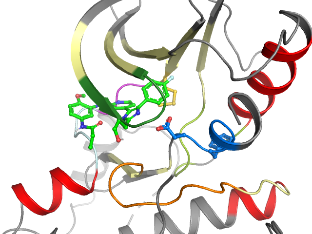 The orthosteric binding pocket