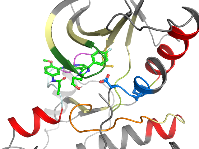 The orthosteric binding pocket