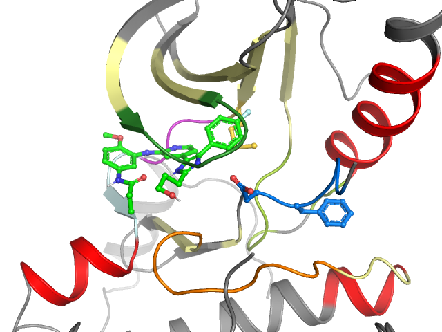 The orthosteric binding pocket
