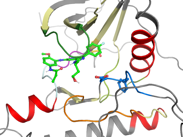 The orthosteric binding pocket