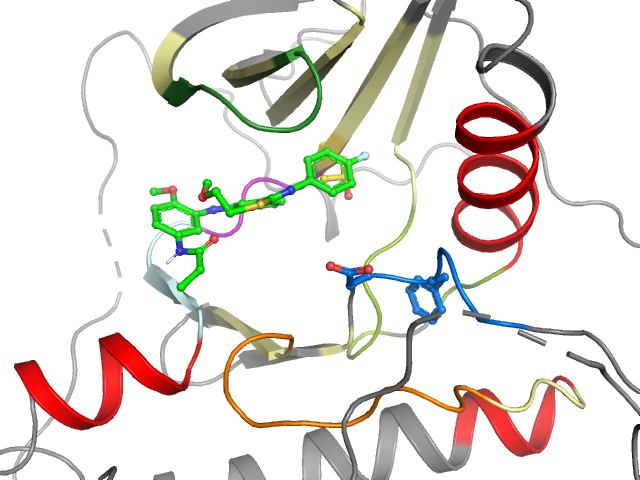 The orthosteric binding pocket
