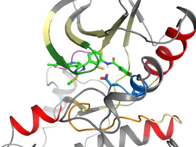 The orthosteric binding pocket