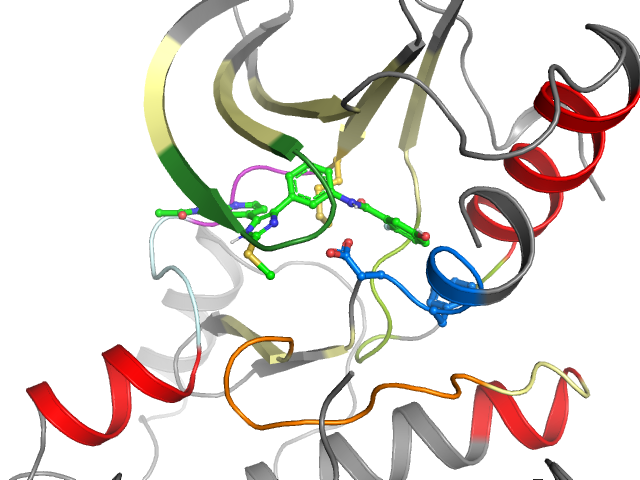 The orthosteric binding pocket