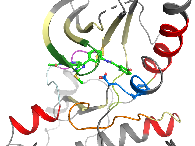 The orthosteric binding pocket