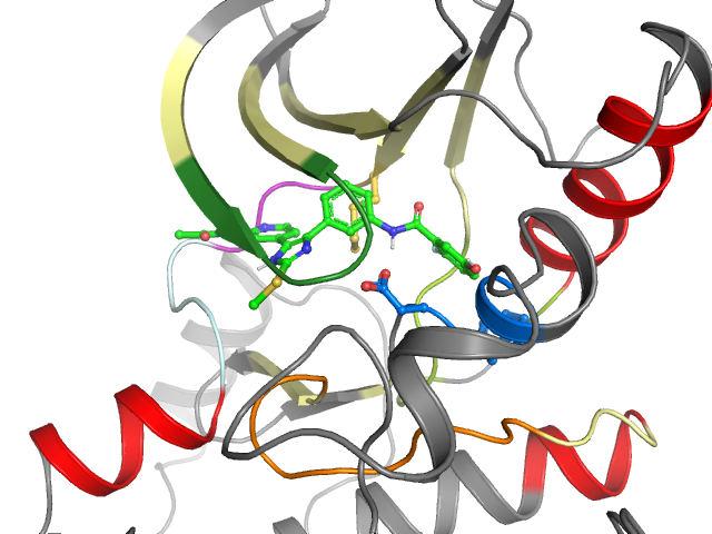 The orthosteric binding pocket