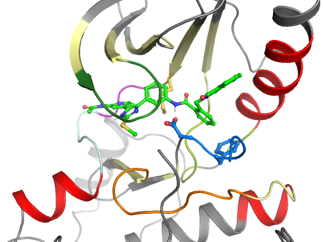 The orthosteric binding pocket