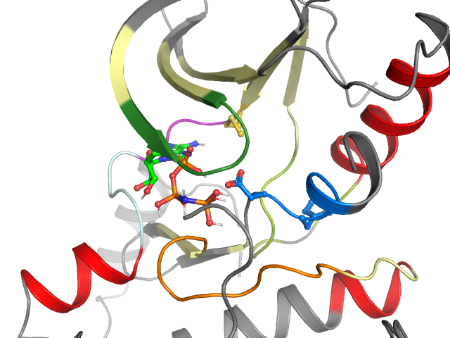 The orthosteric binding pocket