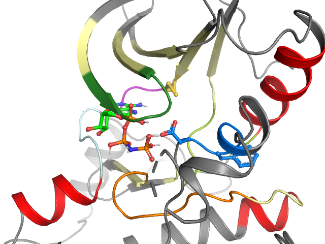 The orthosteric binding pocket