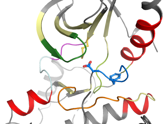 The orthosteric binding pocket