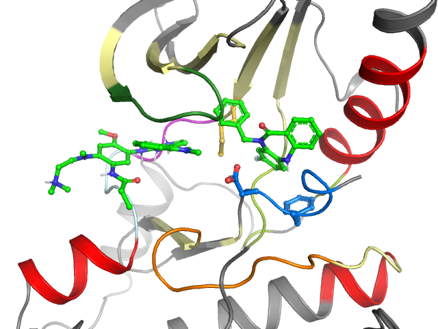 The orthosteric binding pocket