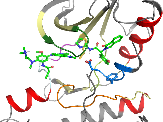 The orthosteric binding pocket