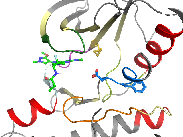 The orthosteric binding pocket