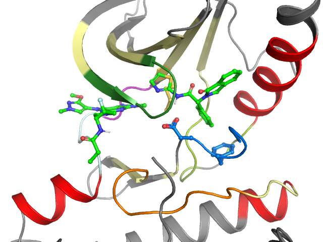 The orthosteric binding pocket