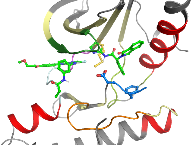 The orthosteric binding pocket