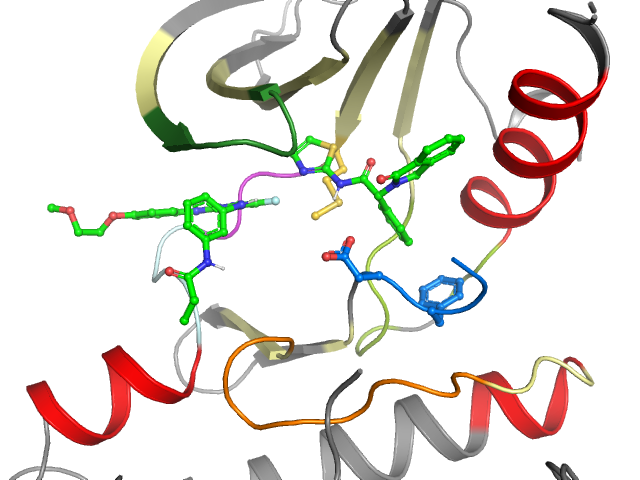The orthosteric binding pocket
