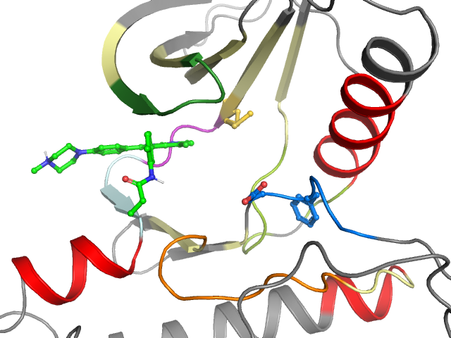 The orthosteric binding pocket