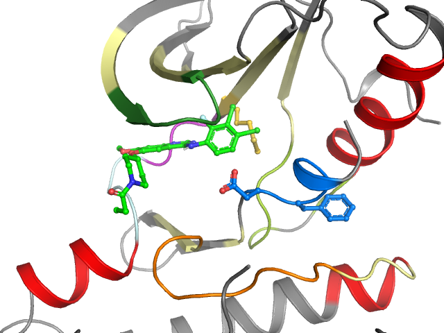 The orthosteric binding pocket