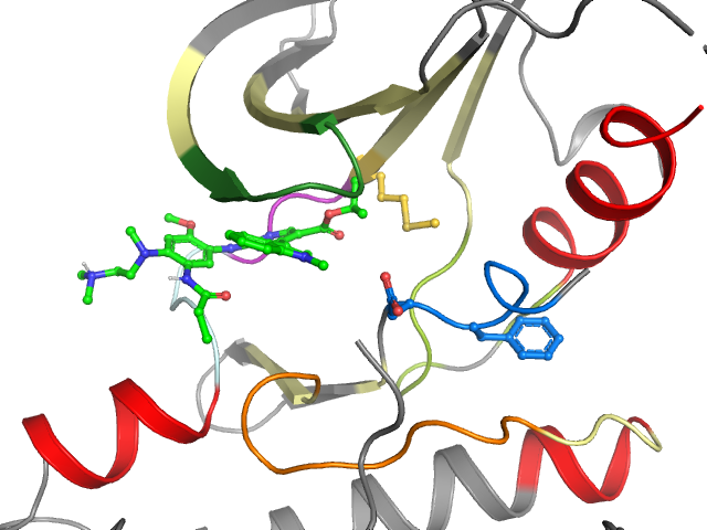 The orthosteric binding pocket