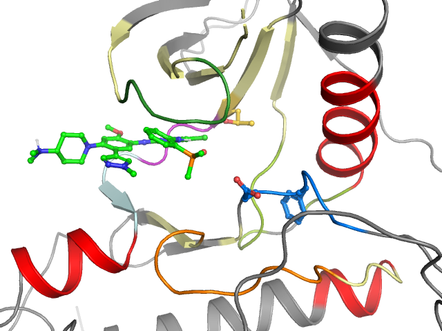 The orthosteric binding pocket