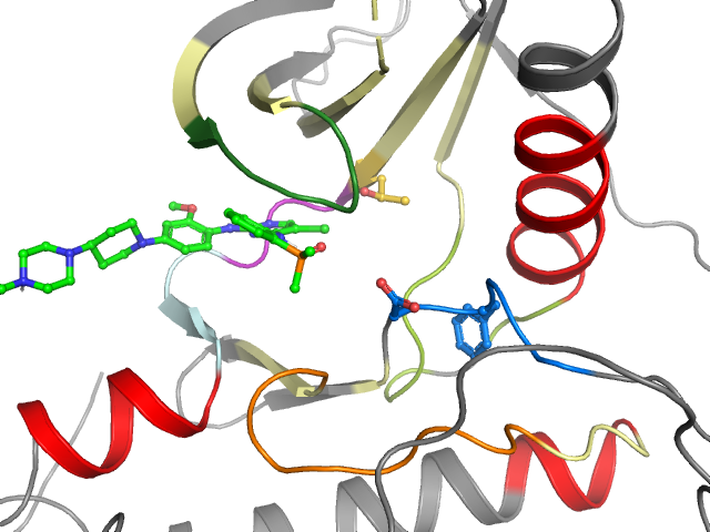 The orthosteric binding pocket