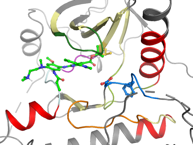 The orthosteric binding pocket