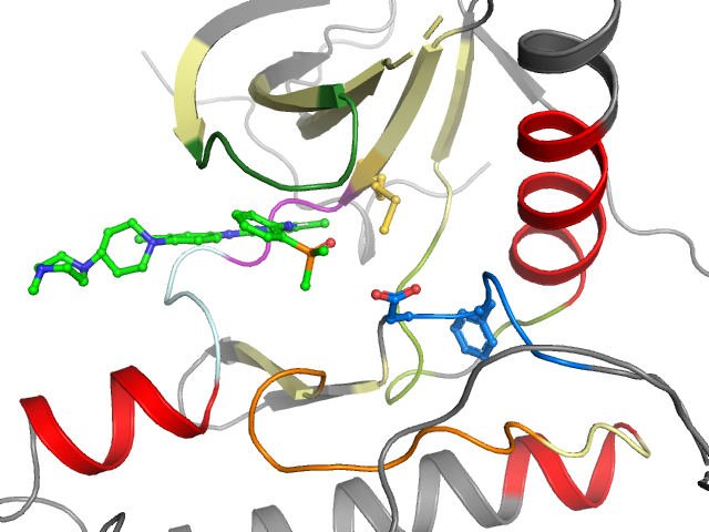 The orthosteric binding pocket