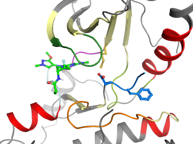 The orthosteric binding pocket