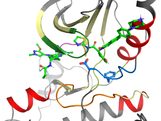 The orthosteric binding pocket