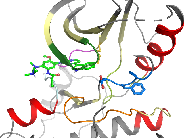 The orthosteric binding pocket