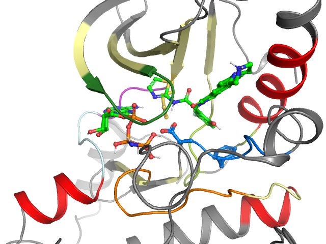 The orthosteric binding pocket
