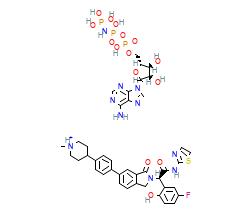 2D structure of the orthosteric ligand